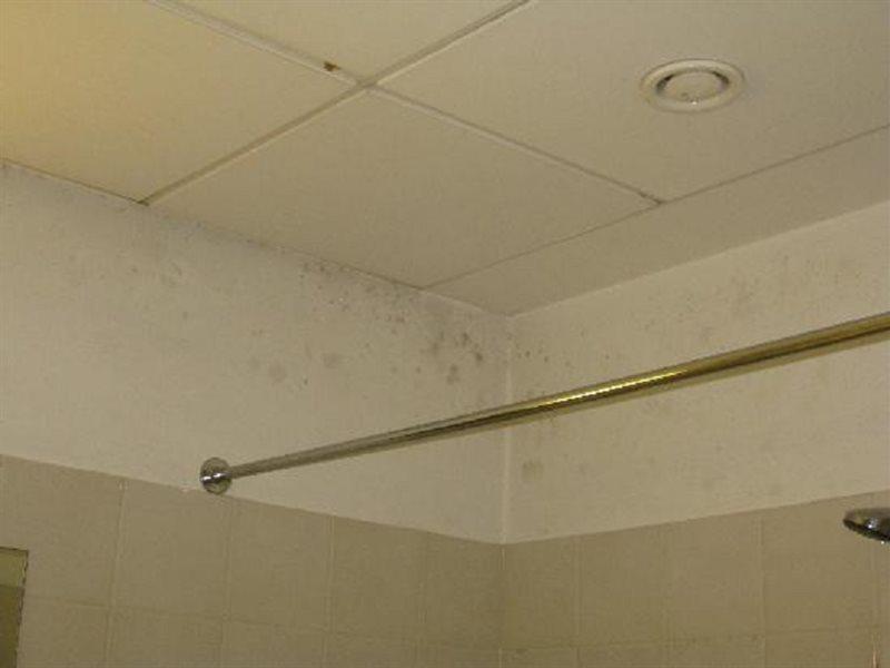 Hotel Belmont Brussels Phòng bức ảnh